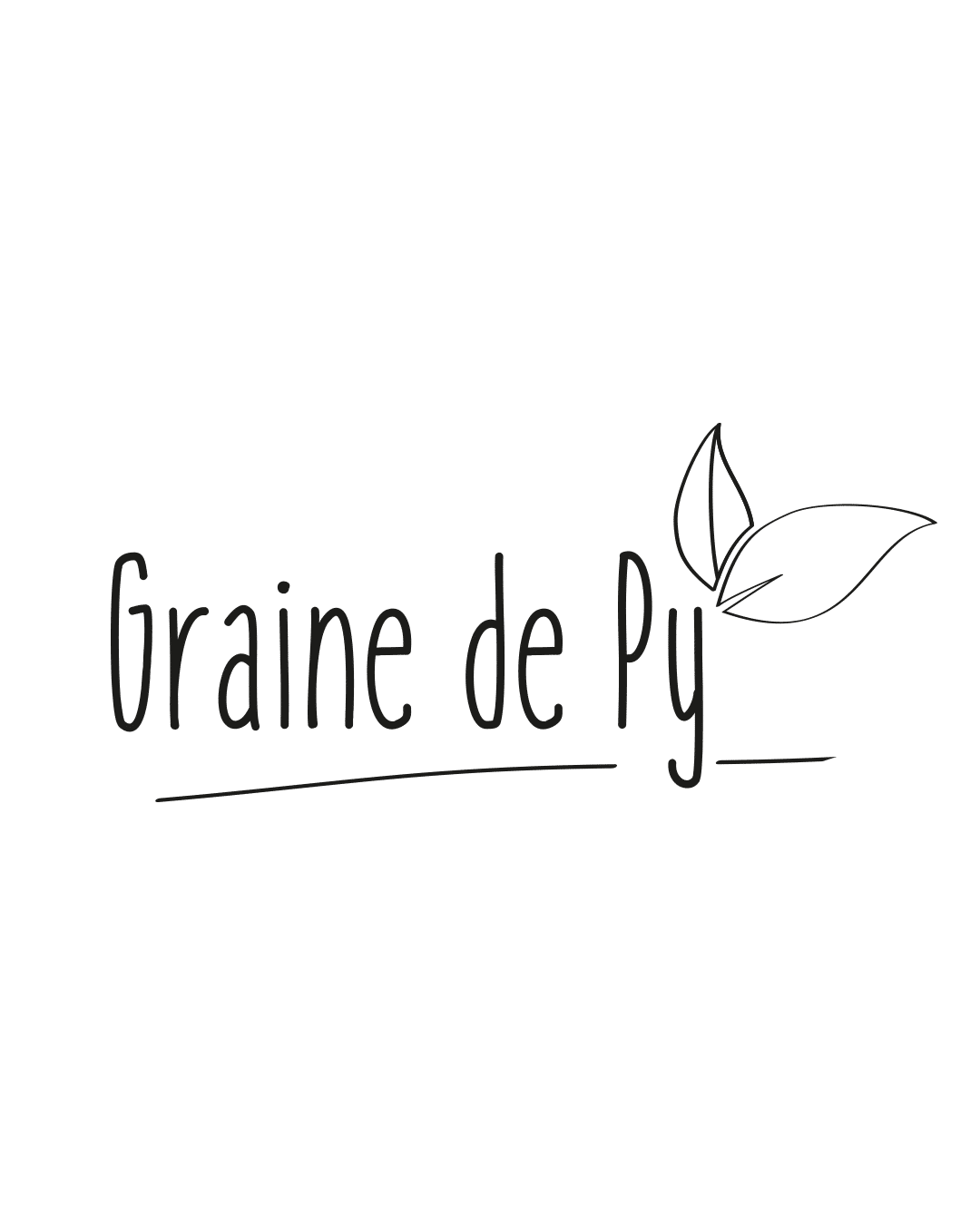 Graine de Py